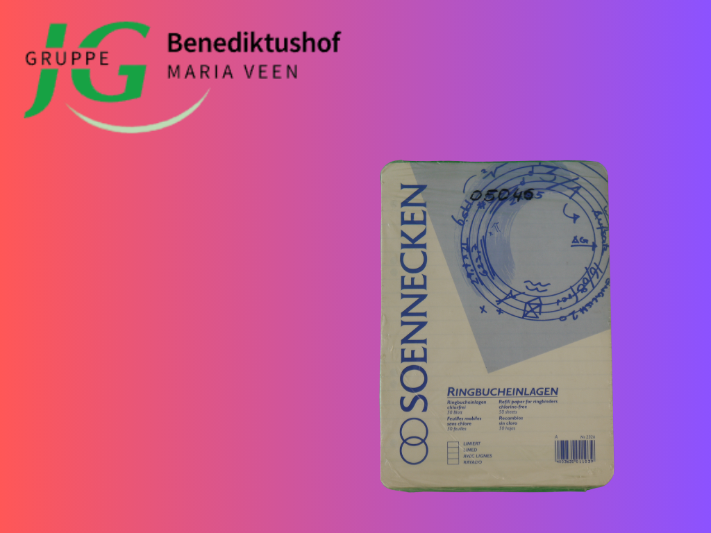 Ringbucheinlagen A5 liniert